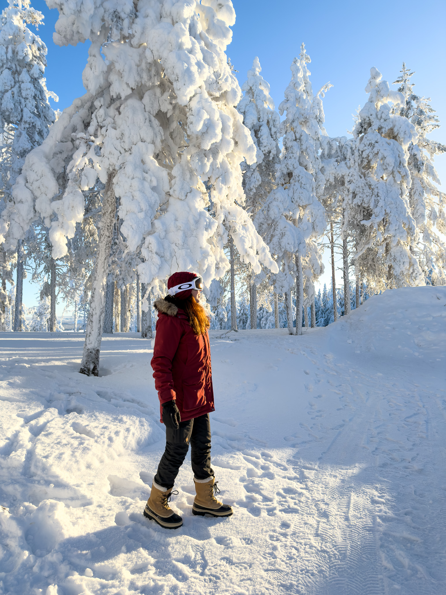 Winter Wonderland
